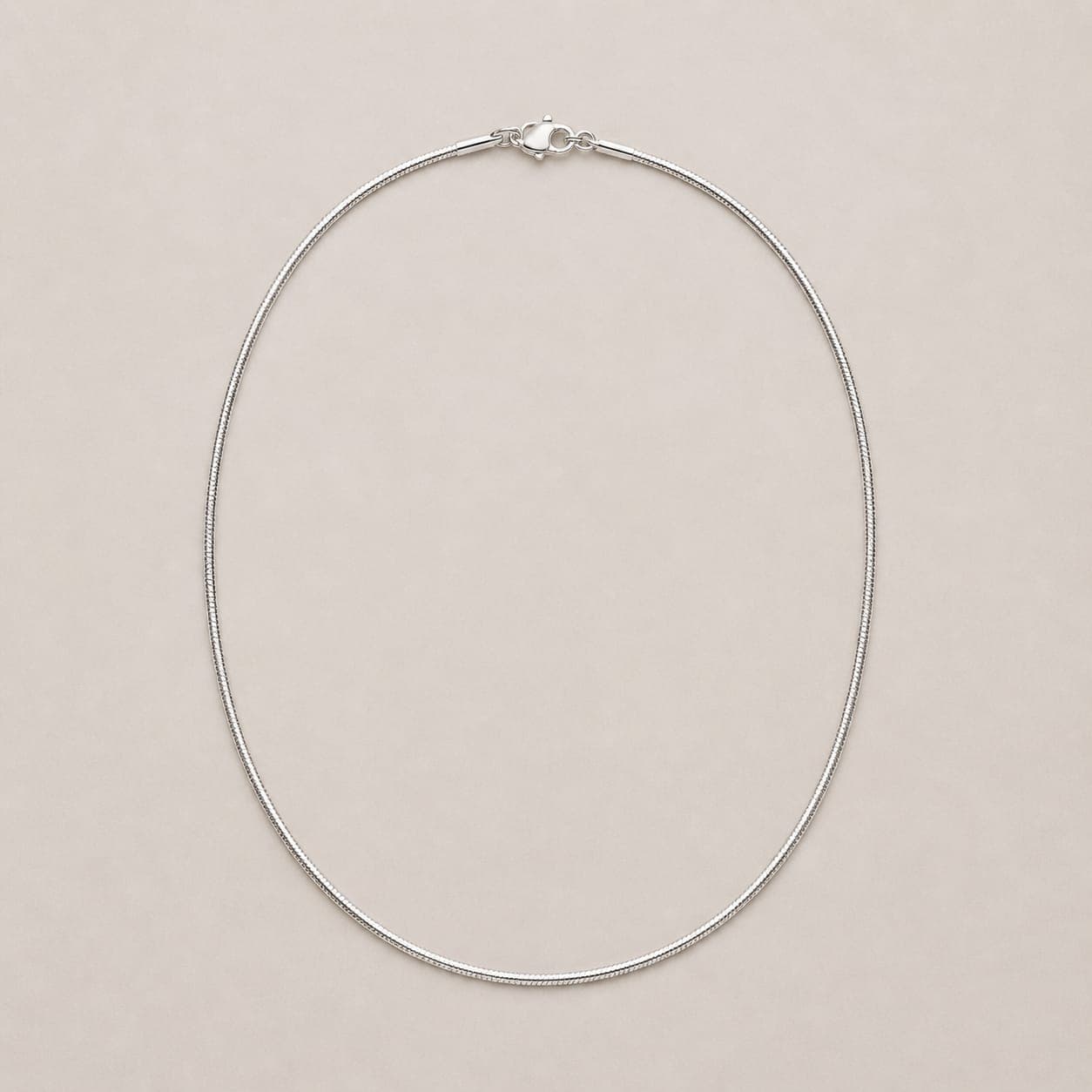 Silver Snake Chain Necklace